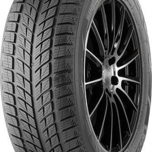 Doublestar DW09 245/40 R18 93H