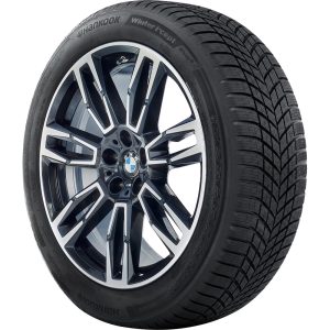 Hankook WINTER I*CEPT EVO4 (W340) 205/65 R17 100H XL