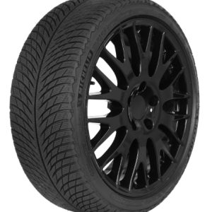 Michelin Pilot Alpin 5 295/30 R21 102W XL