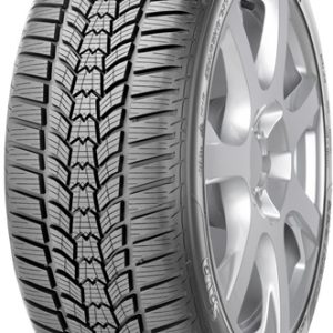 Sava Eskimo HP2 205/55 R16 91H