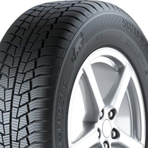 Gislaved Euro Frost 6 205/55 R16 94H